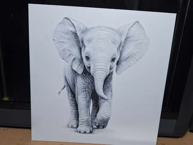 HueForge model: Beautiful black and white Elephant calf - hueforge by 3dGlow
