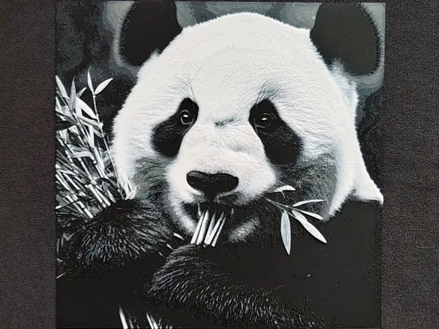 HueForge model: Panda II. HueForge by fD.667