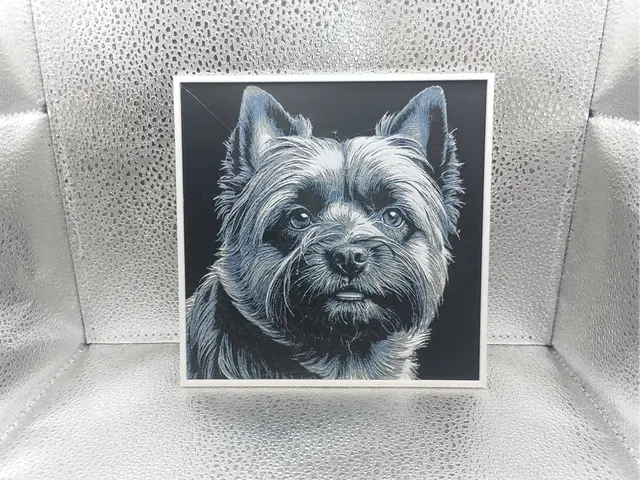 HueForge model: Cairn Terrier - Hueforge by Borishotch Industries