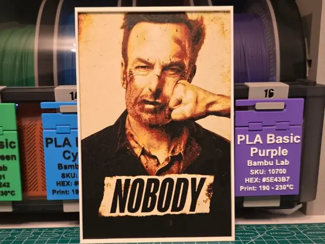 HueForge model: Nobody Movie Poster - Hueforge Art by Lumpy3D