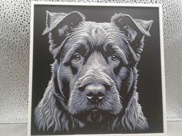 HueForge model: Bouvier des Flandres hueforge by Borishotch Industries