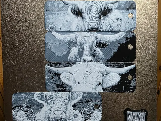 HueForge model: Cow Stares Hueforge Bookmark Set of 4 Black/White by AirMechDesigns