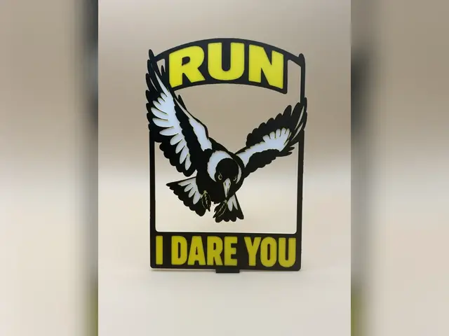 Australian Magpie RUN I DARE YOU HueForge Print