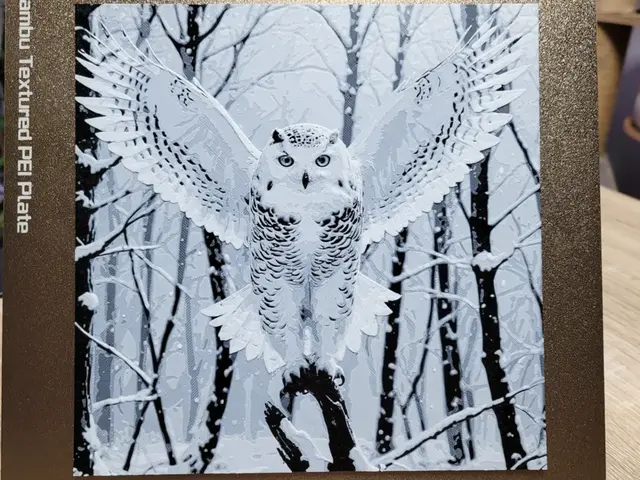 HueForge model: The Flight of the White Owl 2 - 200x200 by Vincent111