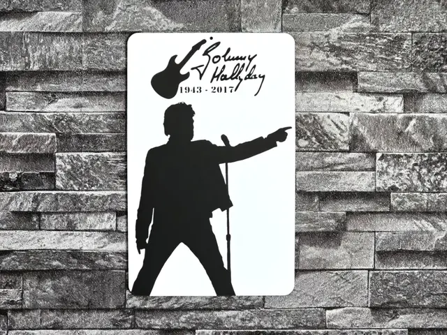 HueForge model: Hueforge Johnny Hallyday on scene by StefBull85