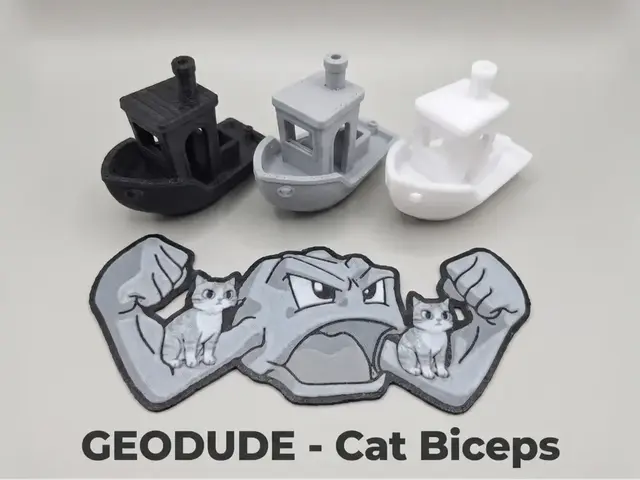 Pokemon - Geodude Cat Biceps