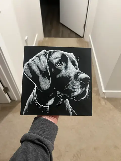 HueForge model: Dog Face 2 Art Hueforge by RP47 Designs