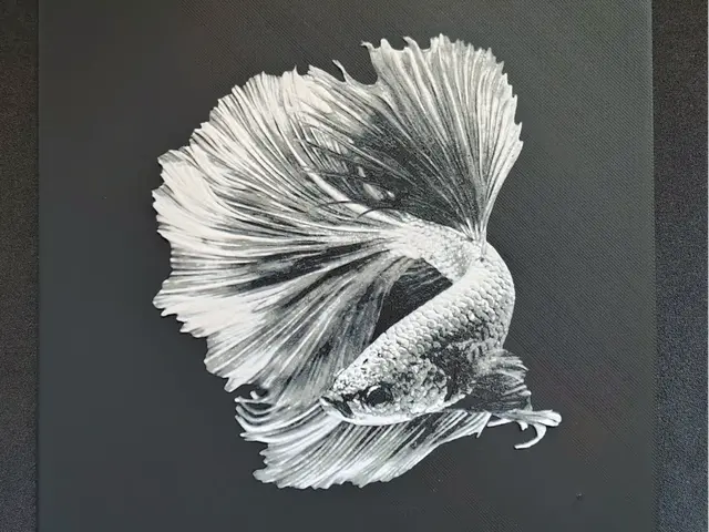 HueForge model: Betta fish II. HueForge by fD.667