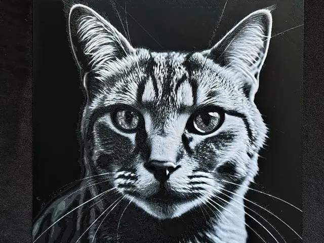 HueForge model: Cat HueForge by fD.667