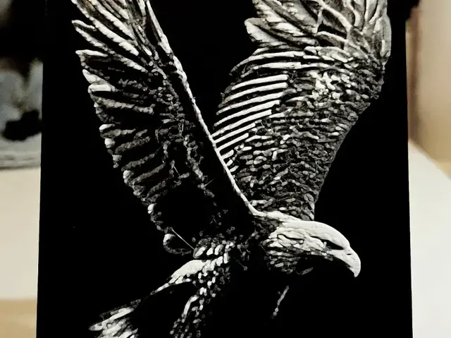 HueForge model: Eagle by Mano's 3d_Art