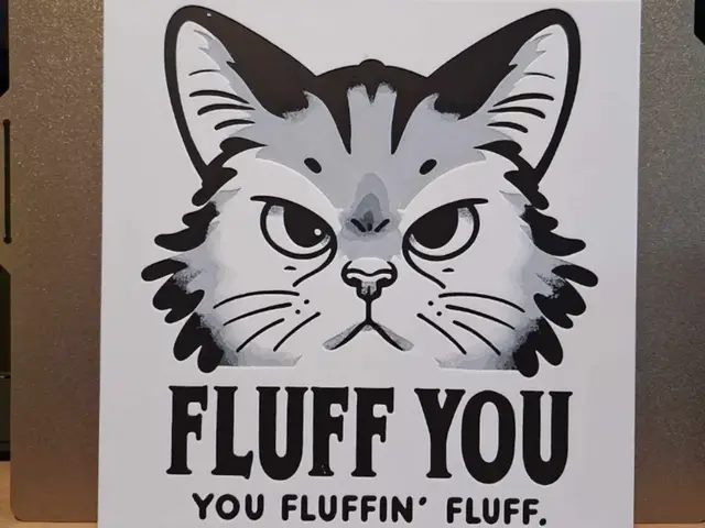 HueForge model: Fluff You - Cat Sarcasm Hueforge - 2 colours by 3dGlow