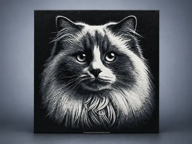 HueForge model: Ragdoll cat by Aleksandr