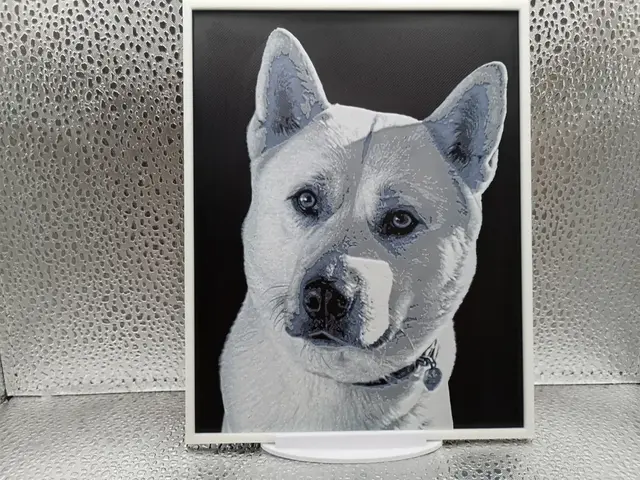 HueForge model: Japanese Akita Inu hueforge by Borishotch Industries