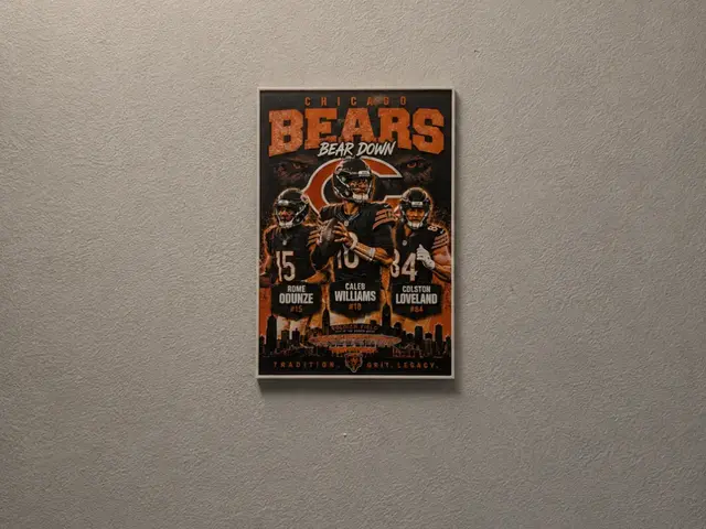 HueForge model: Chicago Bears HueForge by liv_3d