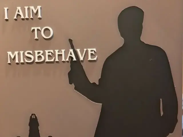 HueForge model: I aim to misbehave - Mal Reynolds - Firefly by IslandLooter