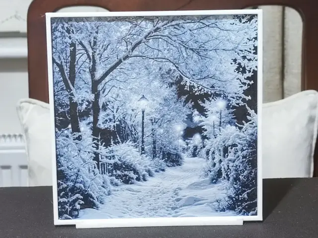 HueForge model: A Snowy Evening Walk - HueForge 3 Color by BoDad