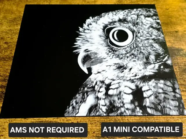 HueForge model: Owl Portrait by N0vA Designs