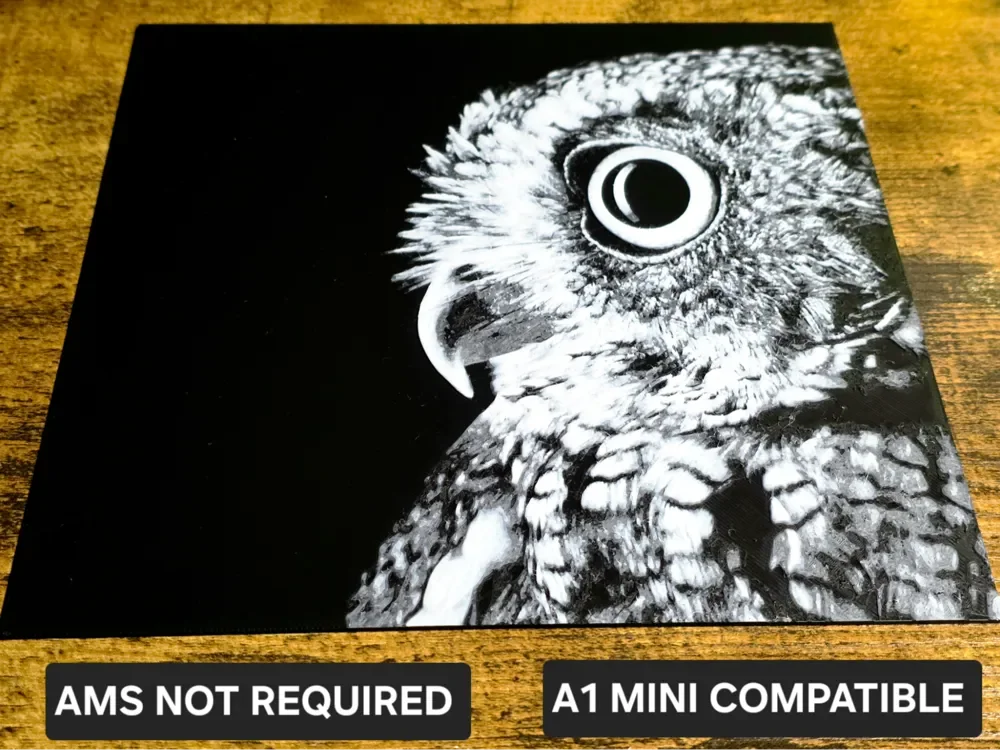 Owl Portrait by N0vA Designs HueForge model: Owl Portrait by N0vA Designs