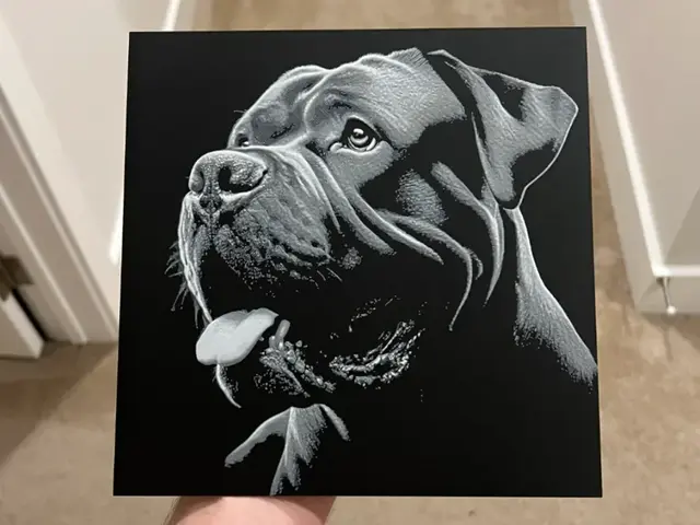 HueForge model: Cane Corso Hueforge by RP47 Designs