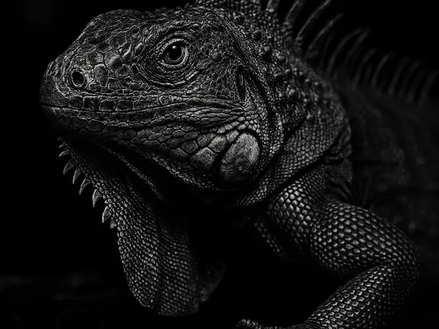 HueForge model: Hueforge Iguana by cterry2000