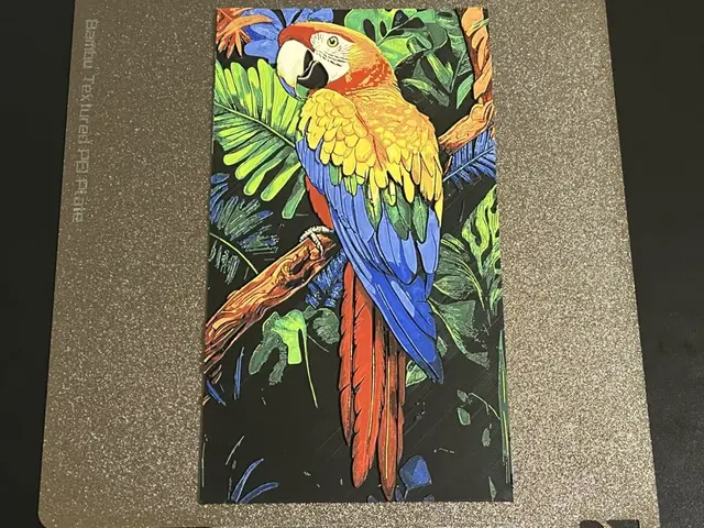 HueForge model: Parrot Animal Hueforge by FantasyZ