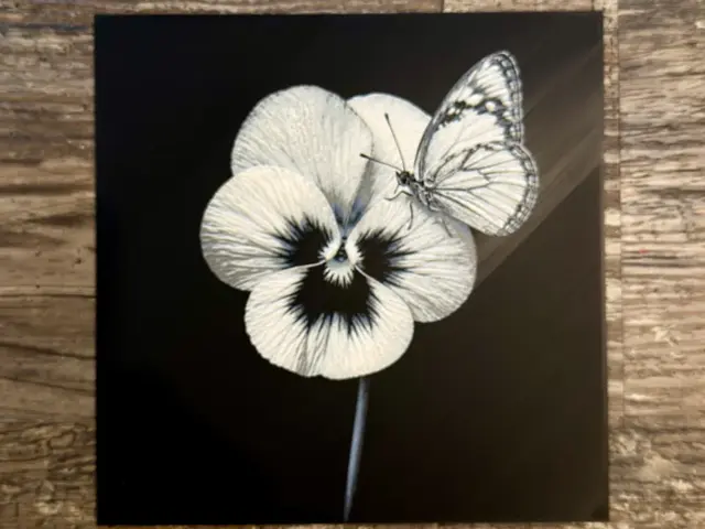 HueForge model: Violet with butterfly Flower Series by novy