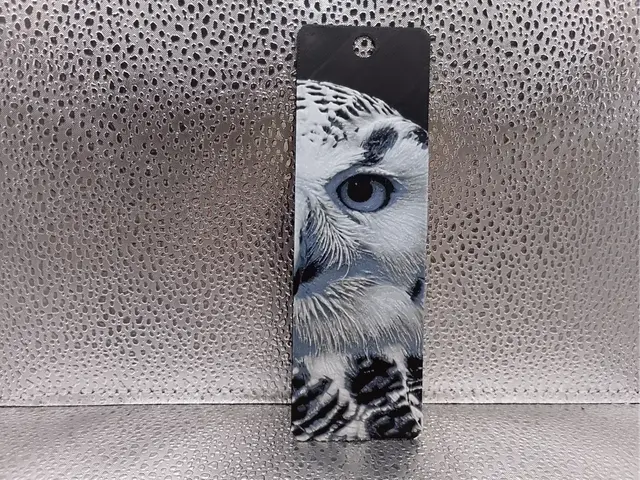 HueForge model: Snowy Owl Bookmark – Hueforge by Borishotch Industries