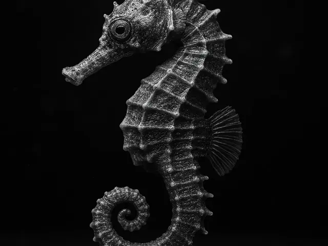 HueForge model: Hueforge Seahorse by cterry2000