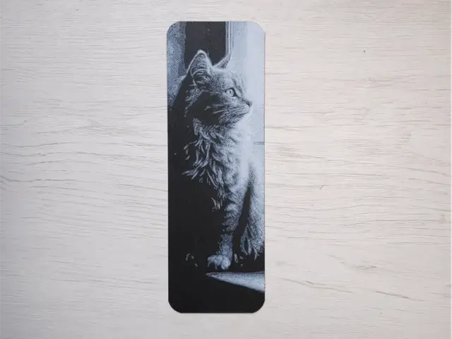 HueForge model: Cat in the Window Bookmark by Atrus Design