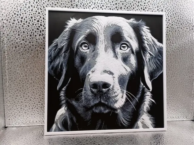 HueForge model: Flat Coated Retriever – Hueforge by Borishotch Industries