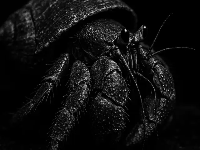 HueForge model: Hueforge Hermit Crab by cterry2000