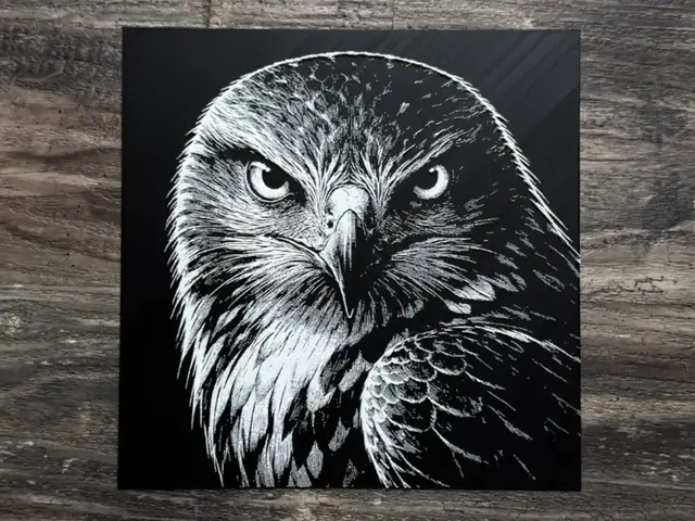 HueForge model: Hawk HueForge Wildlife Series by novy