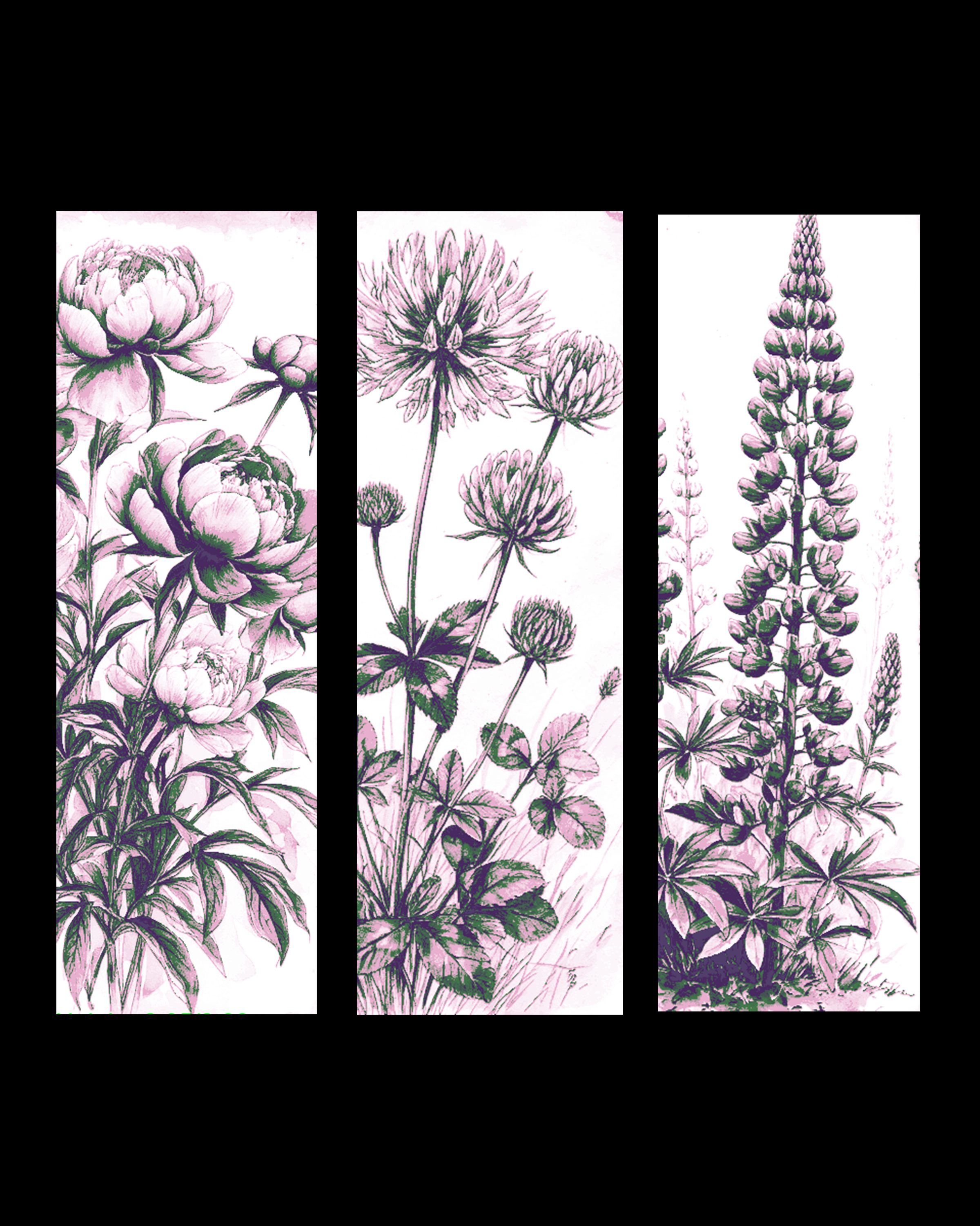 Botanical Beauty - Set of Bookmarks of Flowers by BooneCo3d HueForge model: Botanical Beauty - Set of Bookmarks of Flowers by BooneCo3d