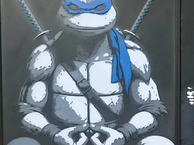 Leonardo "Leo" - Teenage Mutant Ninja Turles - 4C