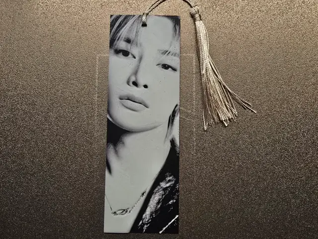 HueForge model: Stray Kids Bookmark - In by 3D-Mentiel