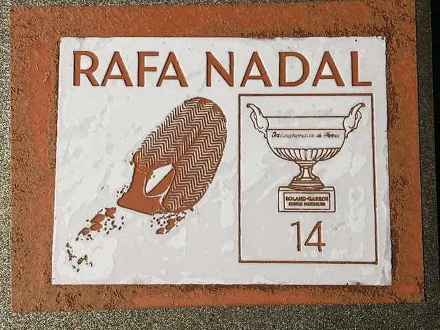 HueForge model: Nadal-on-Court-Plaque by FantasyZ