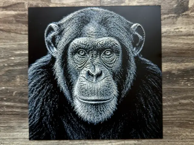 HueForge model: Chimpanzee Wildlife Series by novy