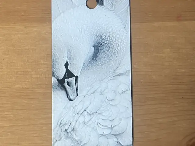 HueForge model: swan bookmark by Morganja