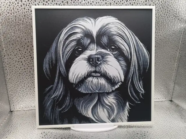 HueForge model: Lhasa Apso Hueforge by Borishotch Industries