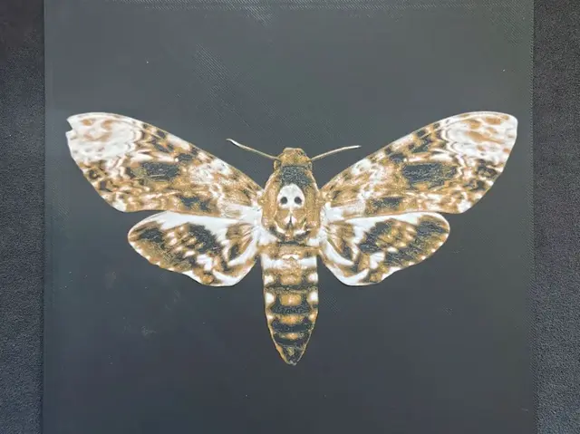 HueForge model: Death's-head hawkmoth HueForge by fD.667