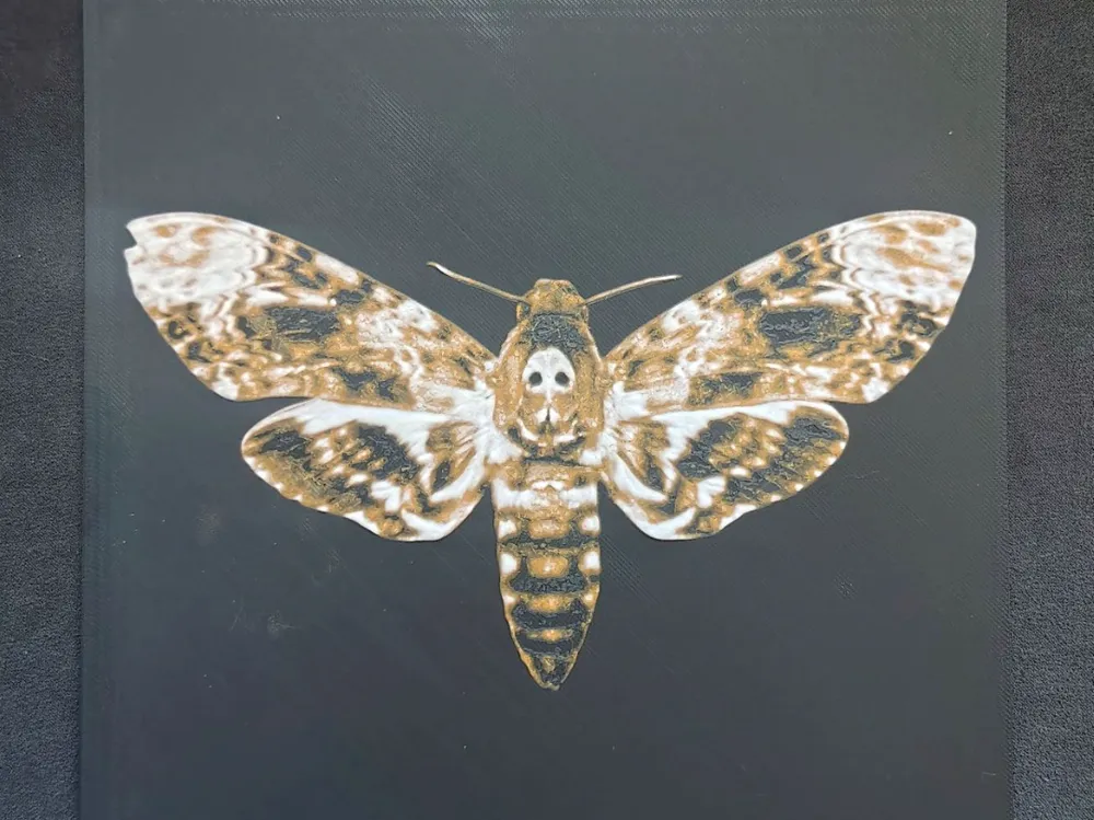 Death's-head hawkmoth HueForge by fD.667 HueForge model: Death's-head hawkmoth HueForge by fD.667