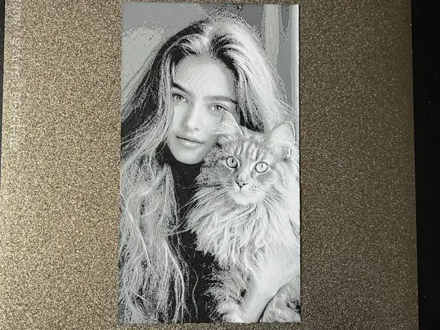 HueForge model: Girl with Her Cat Hueforge by FantasyZ