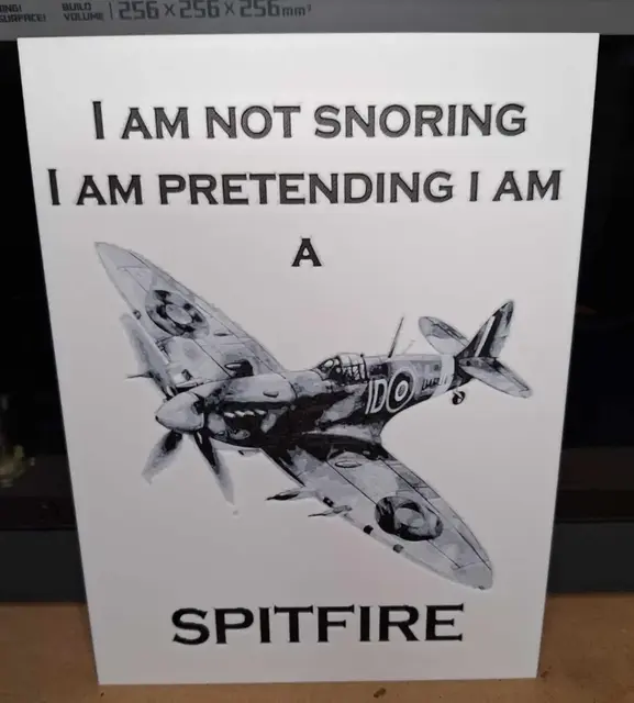 HueForge model: Funny - Snoring - Spitfire hueforge - Greyscale by 3dGlow