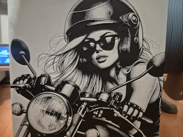 HueForge model: beauty and the bike hueforge by Buntsta