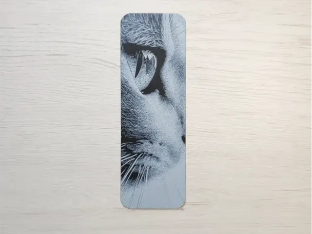 HueForge model: Cat Eye Bookmark by Atrus Design