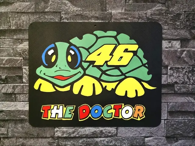 HueForge model: Hueforge THE DOCTOR TURTLE by StefBull85
