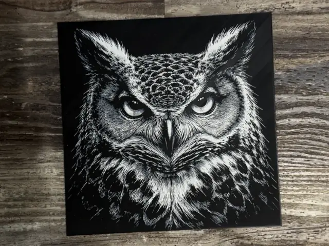 HueForge model: Owl HueForge  Wildlife Series by novy