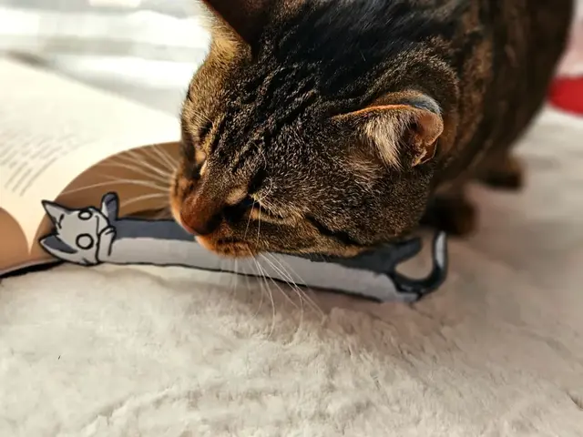 HueForge model: Zombie Cat - Bookmark by C3D