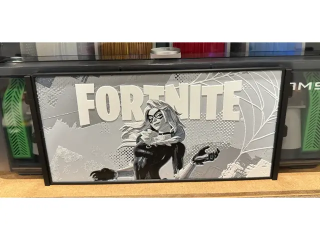 HueForge model: Fortnite - Black Cat - AMS Art by Canadian Gamer