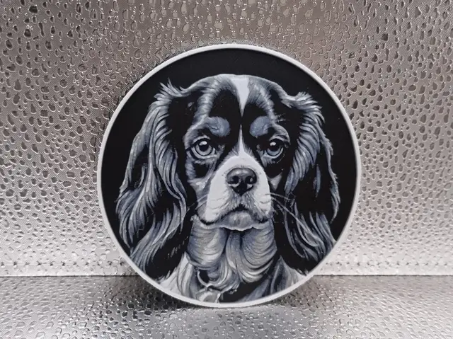 HueForge model: Cavalier King Charles Spaniel Coaster – Hueforge by Borishotch Industries